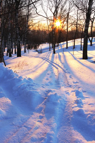Puesta de sol invierno —  Fotos de Stock