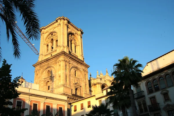 Kathedraal van Granada — Stockfoto