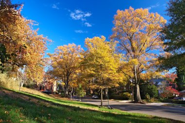 Fall in Washington DC clipart