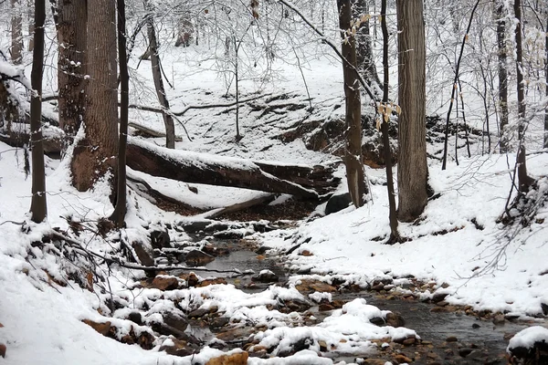 Inverno em Washington DC — Fotografia de Stock