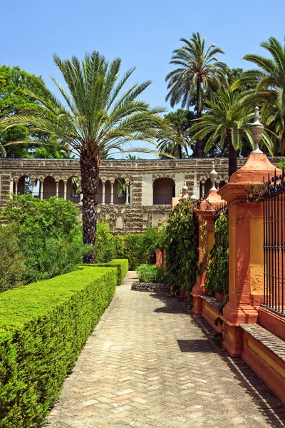 Engelse tuinen van het Koninklijk Paleis van Sevilla — Stockfoto