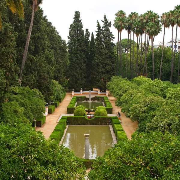 stock image Garden in Alcazar Palace