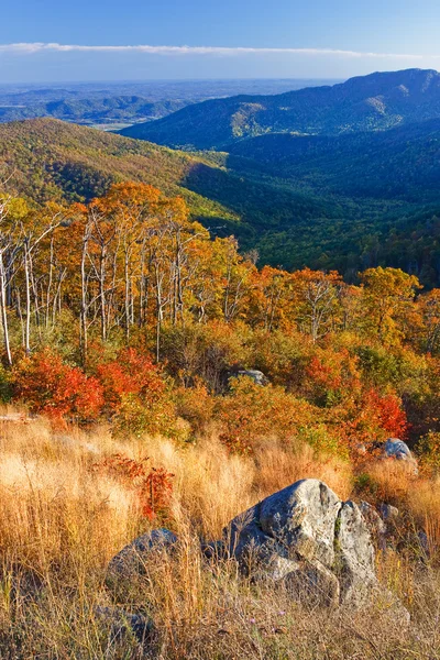 Nationaal park Shenandoah — Stockfoto