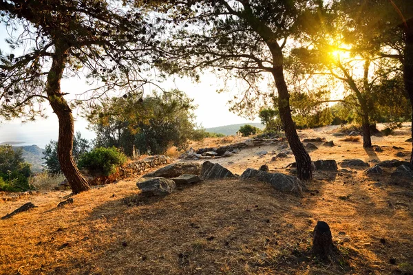 Ruins of the Sanctuary of Poseidon — Stock Photo, Image