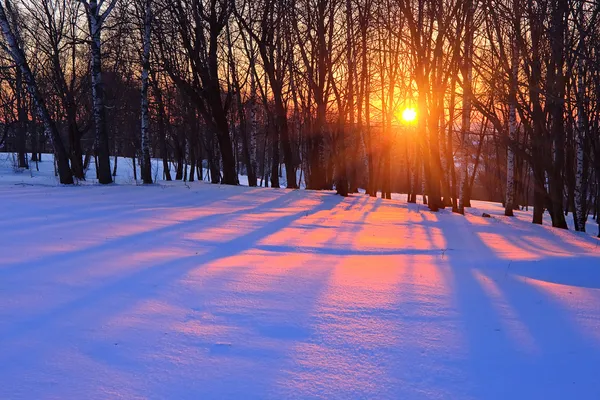 Pôr do sol em uma floresta de inverno — Fotografia de Stock