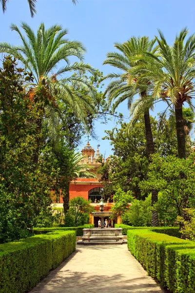 English gardens of the Alcazar Palace — Stock Photo, Image