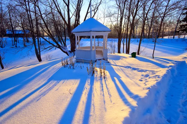 Parque de invierno —  Fotos de Stock