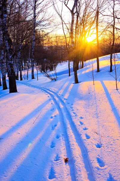 Schöner Sonnenuntergang in einem Winterpark — Stockfoto