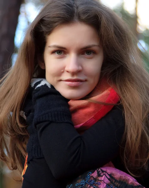 Sonbahar parkında genç bir kadın Stok Resim