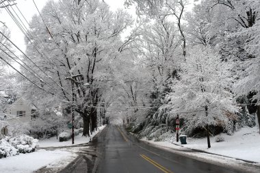 Winter in Washington DC, clipart