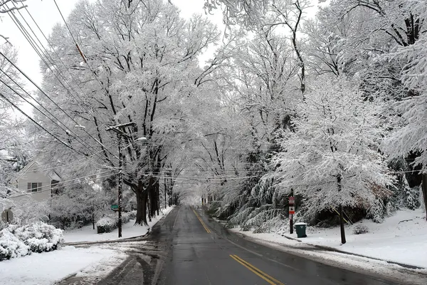 stock image Winter in Washington DC,