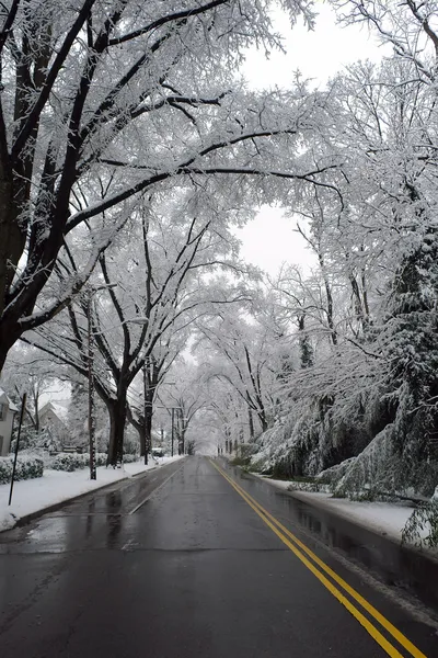 Invierno en Washington DC , —  Fotos de Stock