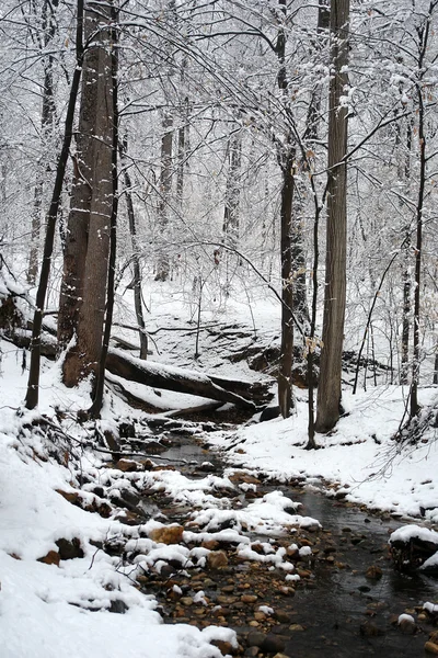 stock image Winter in Washington DC