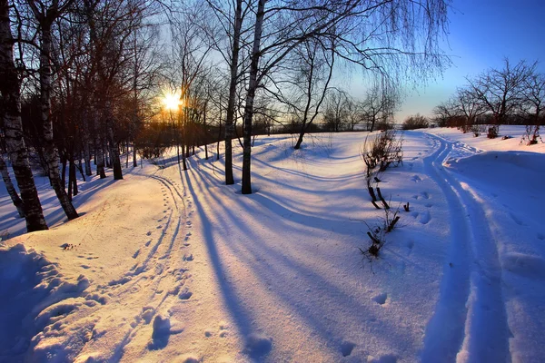 Parque de invierno al atardecer — Foto de Stock