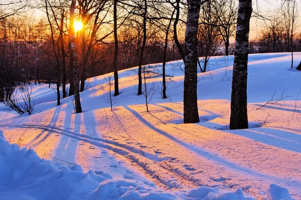 Zimní park při západu slunce — Stock fotografie