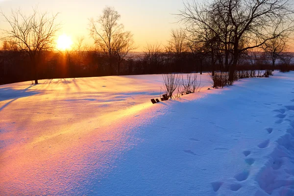Zimní park při západu slunce — Stock fotografie
