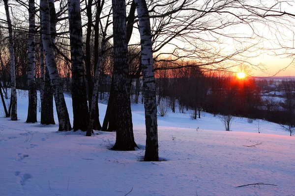 Χειμερινό πάρκο στο ηλιοβασίλεμα — Φωτογραφία Αρχείου
