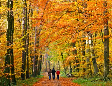 Family walking through autumn park clipart