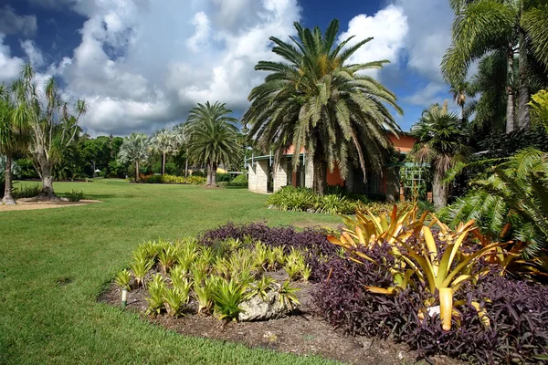 Tropical botanic garden — Stock Photo, Image