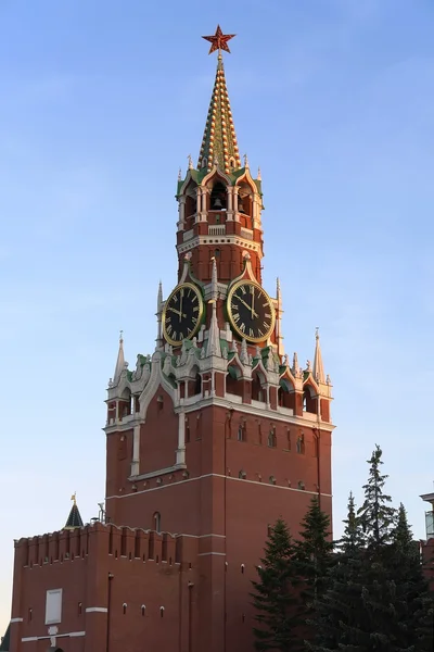 Kremlin de Moscou — Photo