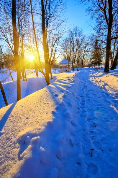 Sunset in winter park — Stock Photo, Image