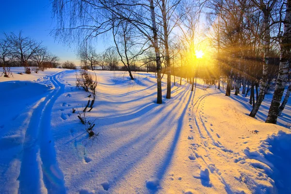 Západ slunce v Zimním parku — Stock fotografie
