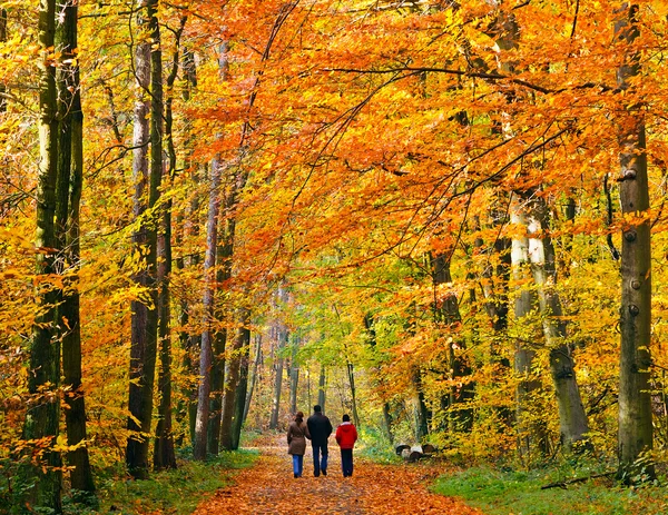 Οικογένεια περπατώντας μέσα από το πάρκο φθινόπωρο — Φωτογραφία Αρχείου