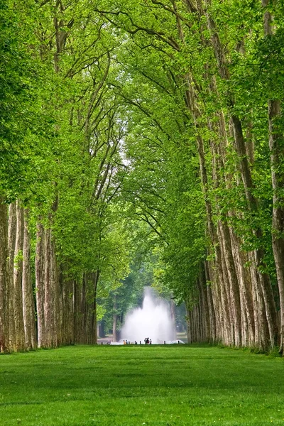 Parque de Versalles —  Fotos de Stock
