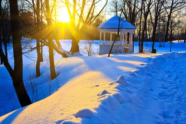 Solnedgång i vinterparken — Stockfoto