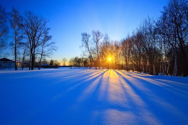 Beautiful sunset in a winter forest — Stock Photo, Image