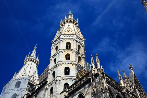 Katedrála svatého Štěpána ve Vídni — Stock fotografie