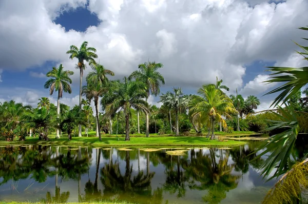 Tropical botanic garden — Stock Photo, Image