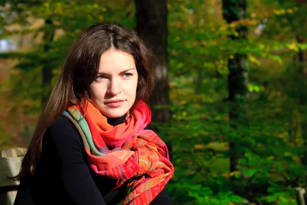 Jonge vrouw in herfst park Rechtenvrije Stockafbeeldingen