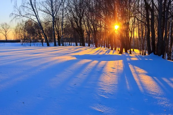 Coucher de soleil rouge dans une forêt d'hiver — Photo