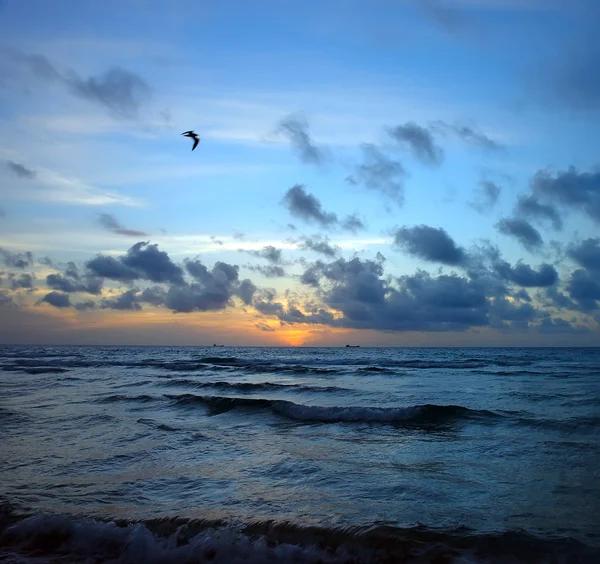 Рассвет, Атлантический океан — стоковое фото