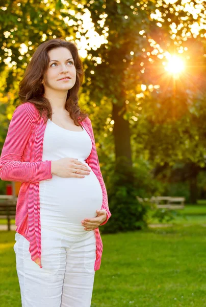Vackra gravid kvinna i parken Stockfoto