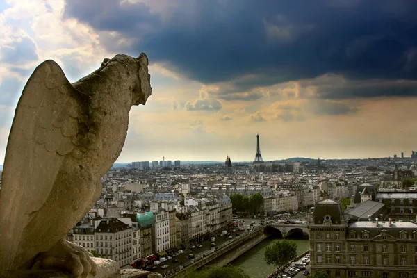 Chimère sur la cathédrale Notre Dame — Photo