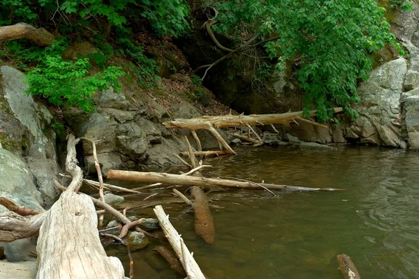 Río de madera en el Parque Nacional Shenandoah — Foto de Stock