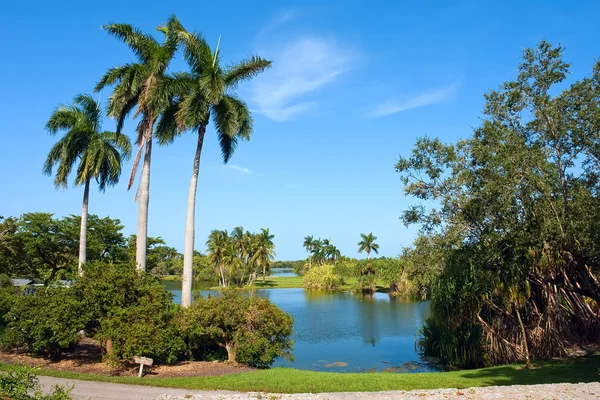 stock image Tropical botanic garden