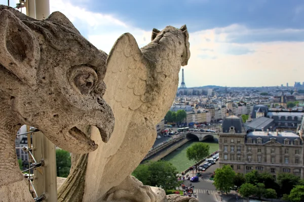 Chimera sulla Cattedrale di Notre Dame — Foto Stock
