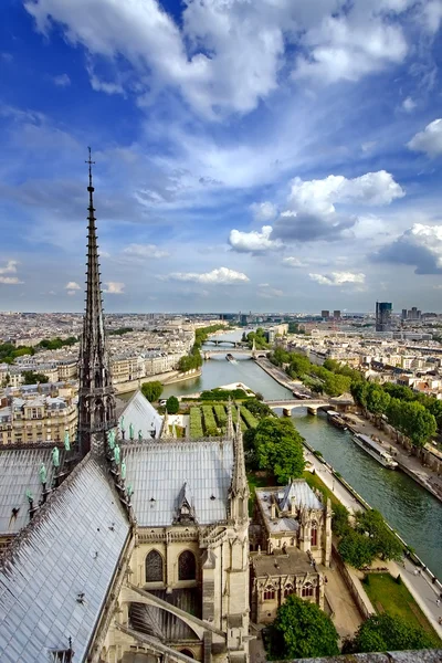 Вид на Париж с собора Парижской Богоматери — стоковое фото
