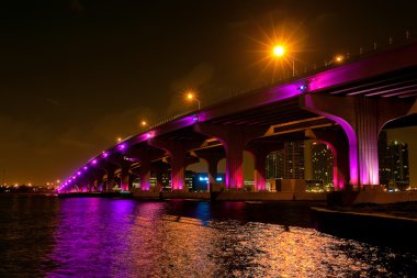 Bridge in Miami clipart