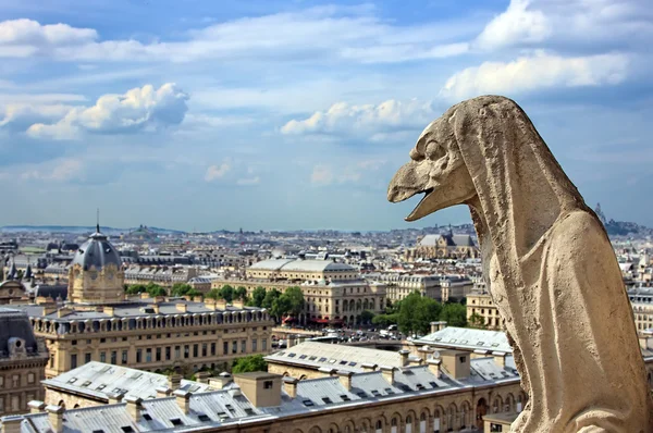 Chimera sulla Cattedrale di Notre Dame — Foto Stock