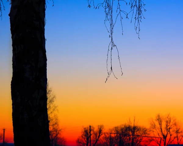 Барвисті захід сонця — стокове фото