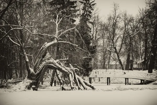 Vintage image of winter landscape — Stock Photo, Image