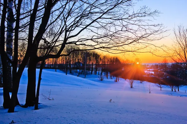 Pôr do sol vermelho na floresta de inverno — Fotografia de Stock
