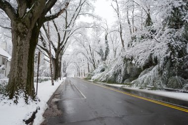 Winter in Washington DC: Palisades clipart