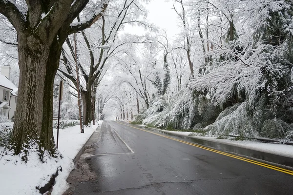 Invierno en Washington DC: Palisades —  Fotos de Stock