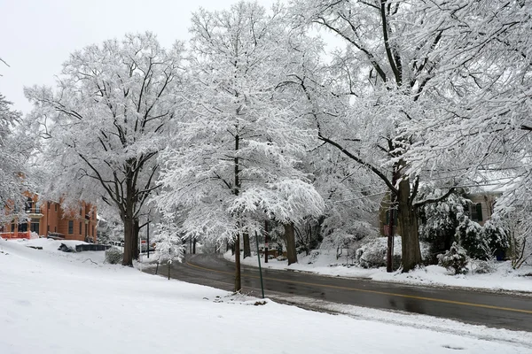 stock image Winter in Washington DC: Palisades