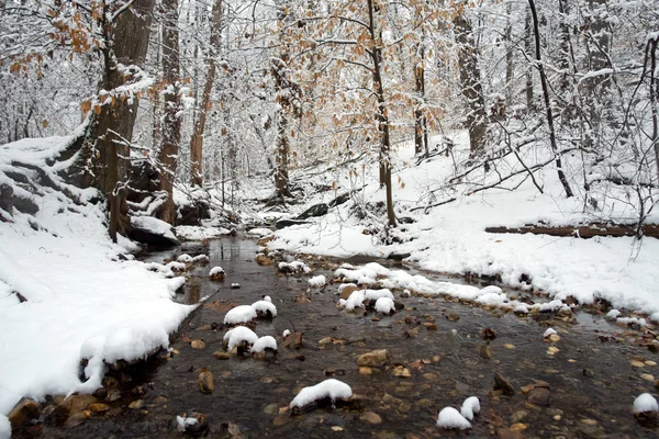 Zima w Waszyngtonie, potok rock creek — Zdjęcie stockowe